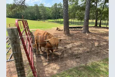 1915 Whooping Creek Church Road, Carrollton, GA 30116 - Photo 31