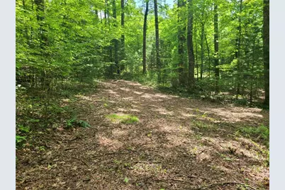 0 Big Creek Road, Ellijay, GA 30536 - Photo 19