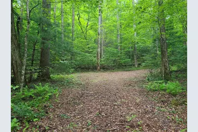 0 Big Creek Road, Ellijay, GA 30536 - Photo 9