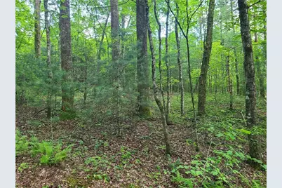 0 Big Creek Road, Ellijay, GA 30536 - Photo 17