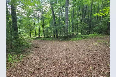 0 Big Creek Road, Ellijay, GA 30536 - Photo 7