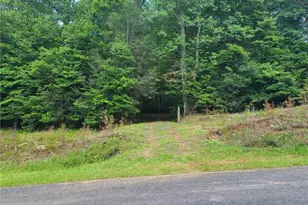 0 Big Creek Rd, Ellijay, GA 30536 - Photo 1