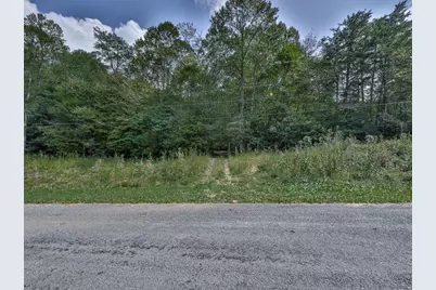 0 Big Creek Road, Ellijay, GA 30536 - Photo 3