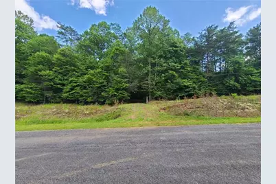 0 Big Creek Road, Ellijay, GA 30536 - Photo 5