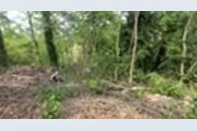 1285 North Avenue NW, Atlanta, GA 30318 - Photo 15