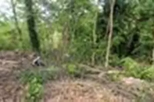 1285 North Ave NW, Atlanta, GA 30318 - Photo 15