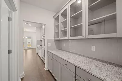 1747 Goodwin Drive, Hampton, GA 30228 - Photo 11