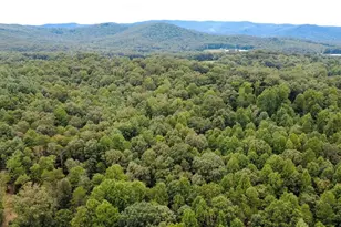 1030 Hefner Lake Rd, Ellijay, GA 30536 - Photo 61