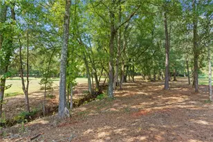 1299 McLeod Estates Dr, Monroe, GA 30655 - Photo 63