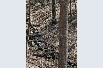 3366 Crippled Oak Trail, Jasper, GA 30143 - Photo 17