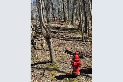 3366 Crippled Oak Trail, Jasper, GA 30143 - Photo 21