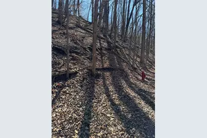 3366 Crippled Oak Trail, Jasper, GA 30143 - Photo 13