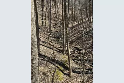 3366 Crippled Oak Trail, Jasper, GA 30143 - Photo 3