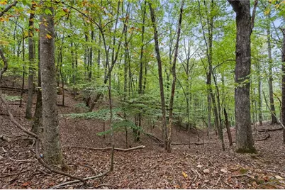 0 Pamela, Ellijay, GA 30540 - Photo 9