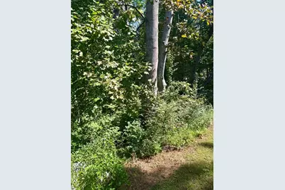 43 Irvin Drive, Dawsonville, GA 30534 - Photo 17