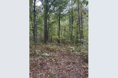 3834 Salacoa-Tract B, Waleska, GA 30183 - Photo 1