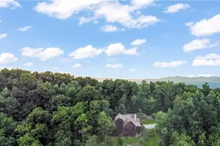 676 Deer Crest Overlook, Blue Ridge, GA 30513 - Photo 59