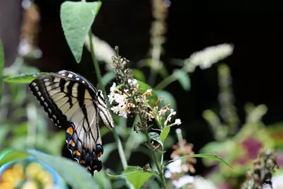 641 Dover Highlands Trail, Ellijay, GA 30540 - Photo 79