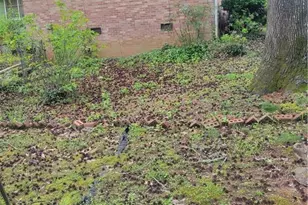 2716 Bonnybrook Dr SW, Atlanta, GA 30311 - Photo 5