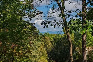 52 Hilary Ct, Ellijay, GA 30540 - Photo 23