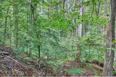 2901 Tree Top Road, Dacula, GA 30019 - Photo 93