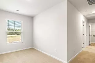 229 Lauritsen Way, Newnan, GA 30265 - Photo 17