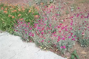 435 Old Holly Rd, Roswell, GA 30075 - Photo 81