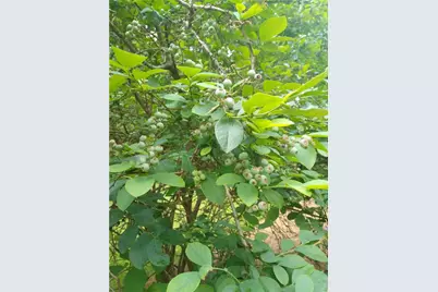 435 Old Holly Road, Roswell, GA 30075 - Photo 77