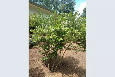 435 Old Holly Road, Roswell, GA 30075 - Photo 17