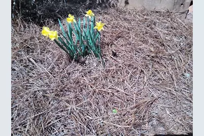 435 Old Holly Road, Roswell, GA 30075 - Photo 87