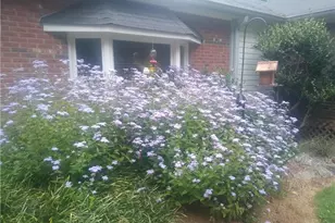 435 Old Holly Rd, Roswell, GA 30075 - Photo 75