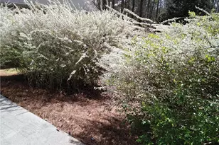 435 Old Holly Rd, Roswell, GA 30075 - Photo 79