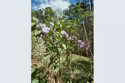 435 Old Holly Road, Roswell, GA 30075 - Photo 89