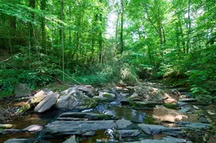 465 Hillside Dr NW, Atlanta, GA 30342 - Photo 65