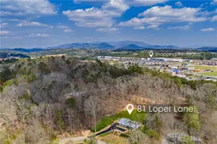 81 Loper Ln, Ellijay, GA 30536 - Photo 7