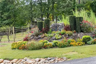 62 High Ridge, Cleveland, GA 30528 - Photo 55