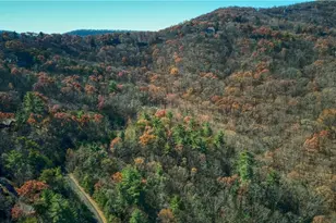 5566 Red Fox Ln, Big Canoe, GA 30143 - Photo 1