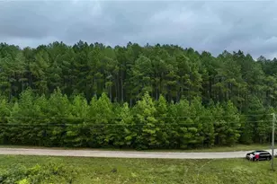 0 Jacks Hat Rd, Elberton, GA 30635 - Photo 5