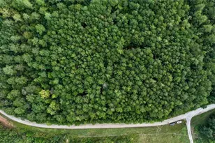 0 Jacks Hat Rd, Elberton, GA 30635 - Photo 7