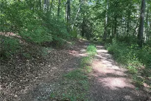 1038 Wilkins Cove Rd, Suches, GA 30572 - Photo 57