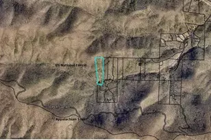 1038 Wilkins Cove Rd, Suches, GA 30572 - Photo 55