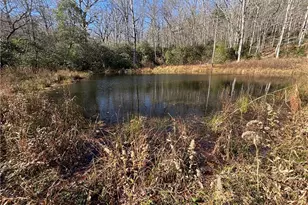 1038 Wilkins Cove Rd, Suches, GA 30572 - Photo 87