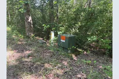 1038 Wilkins Cove Road, Suches, GA 30572 - Photo 59