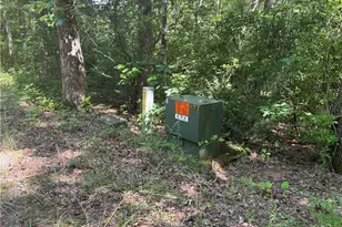 1038 Wilkins Cove Rd, Suches, GA 30572 - Photo 59