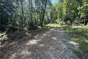 1038 Wilkins Cove Rd, Suches, GA 30572 - Photo 59