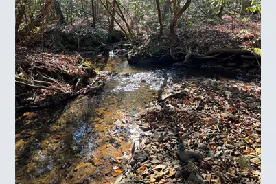 1038 Wilkins Cove Road, Suches, GA 30572 - Photo 89