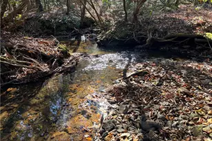 1038 Wilkins Cove Rd, Suches, GA 30572 - Photo 89