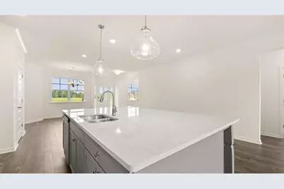 265 Staffin Drive, Senoia, GA 30276 - Photo 9