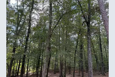 125 Cannongate Circle, Sharpsburg, GA 30277 - Photo 21