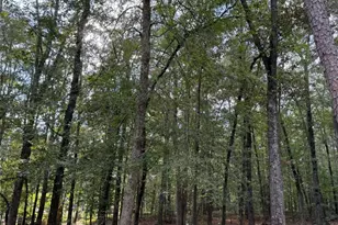 125 Cannongate Cir, Sharpsburg, GA 30277 - Photo 21